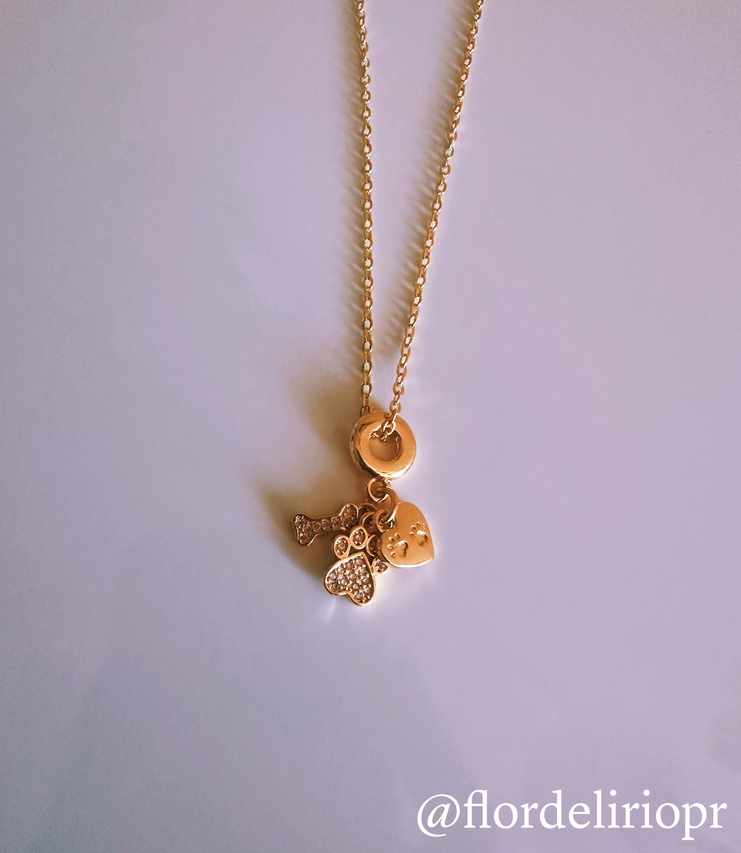 Zircon paw and bone necklace