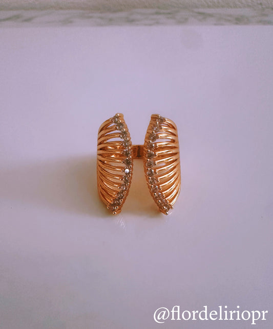 Zirconias ring