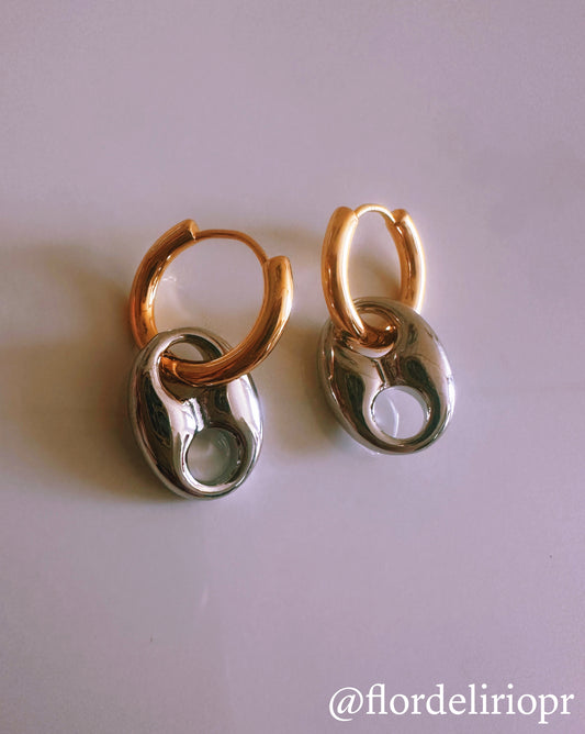Two tones coffee bean earrings