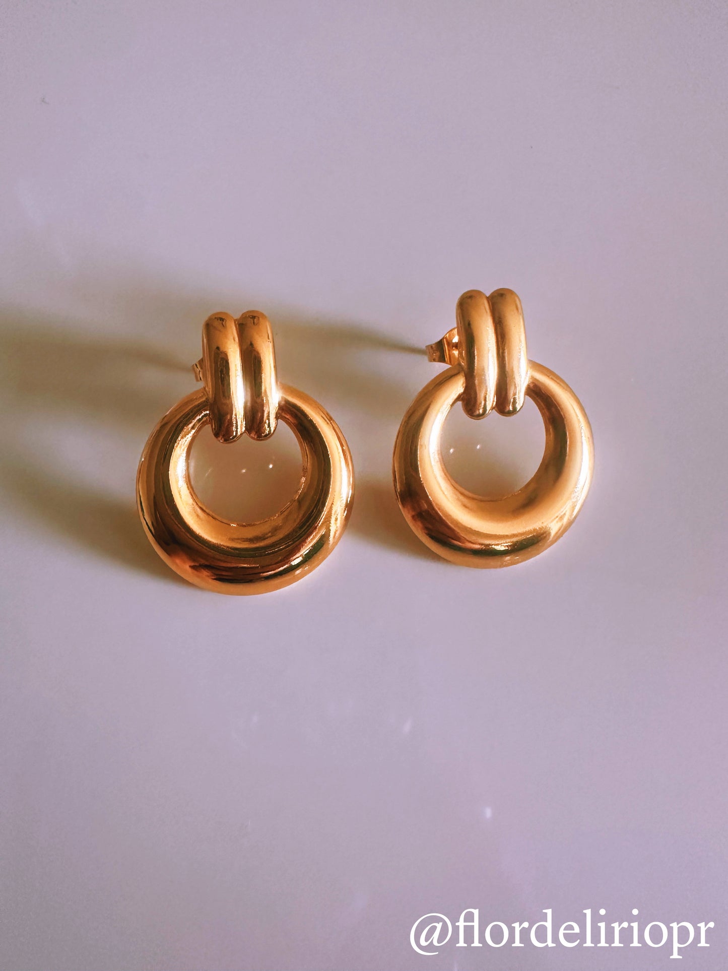 Elegant circle earrings