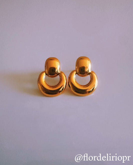 Elegant circle earrings