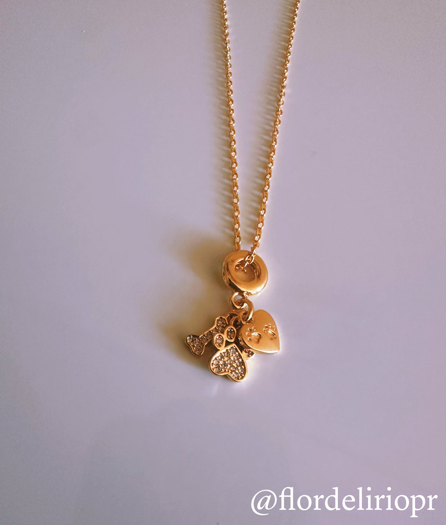 Zircon paw and bone necklace