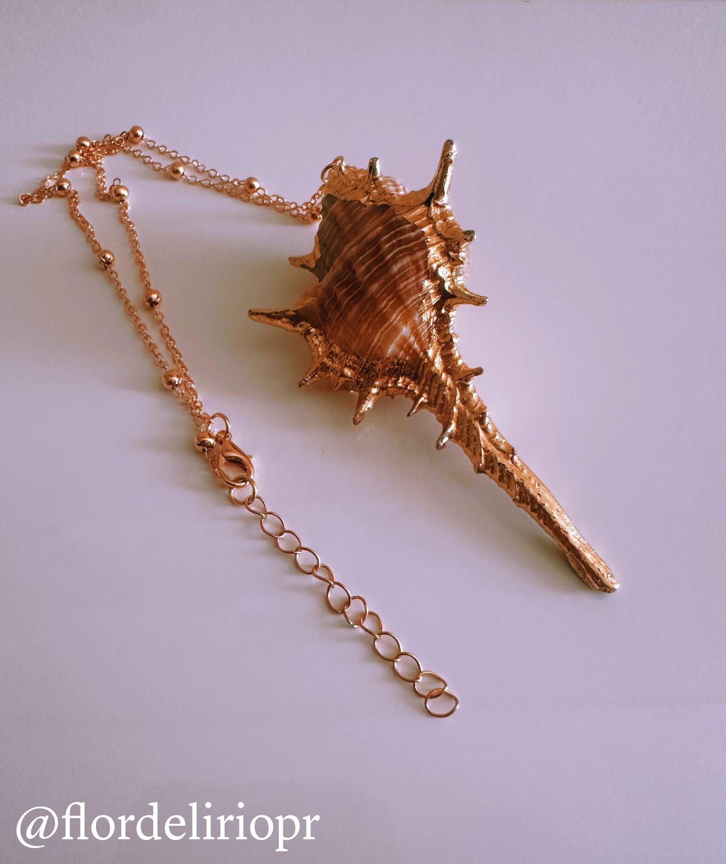 Big shell necklace