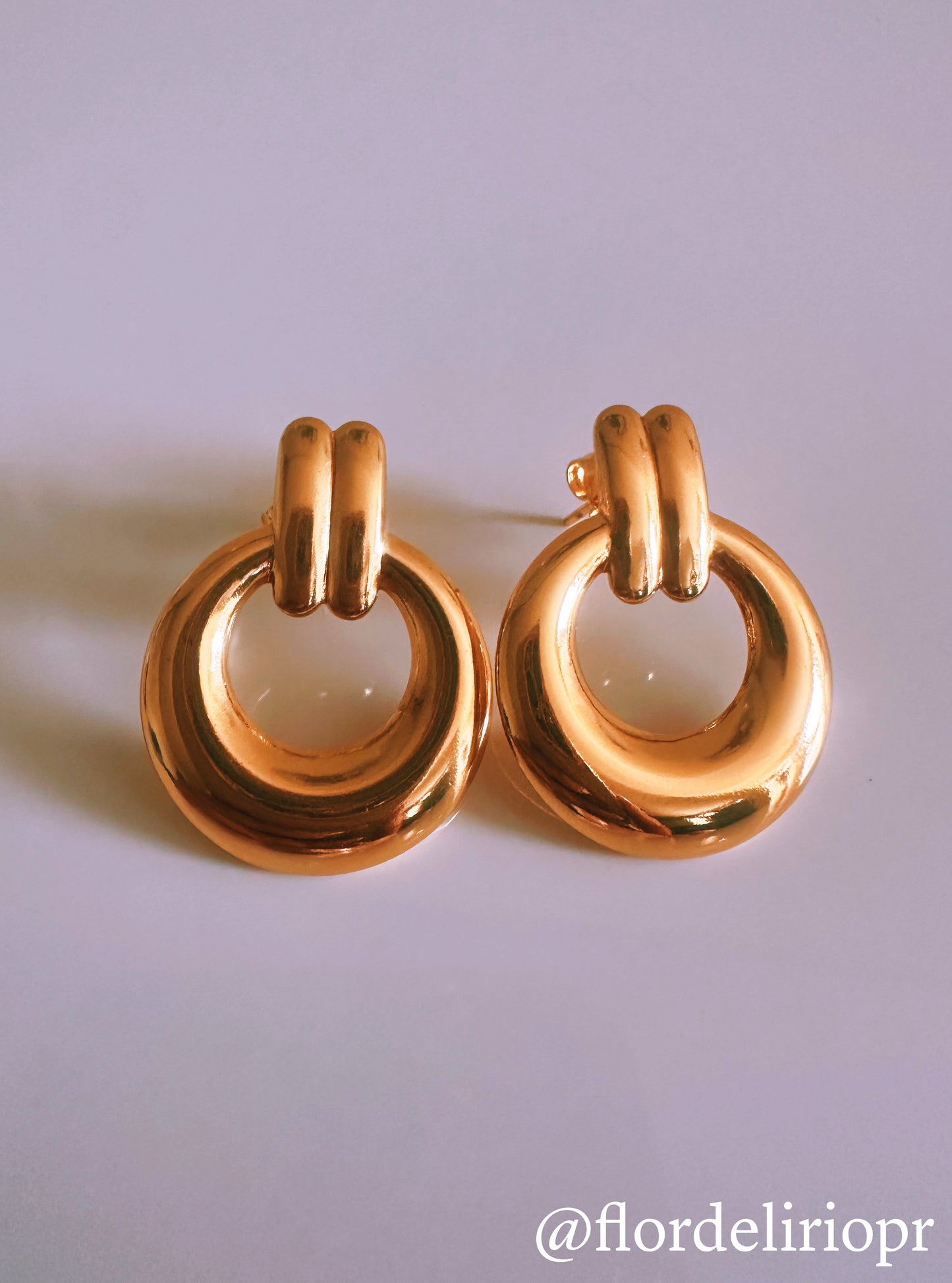 Elegant circle earrings