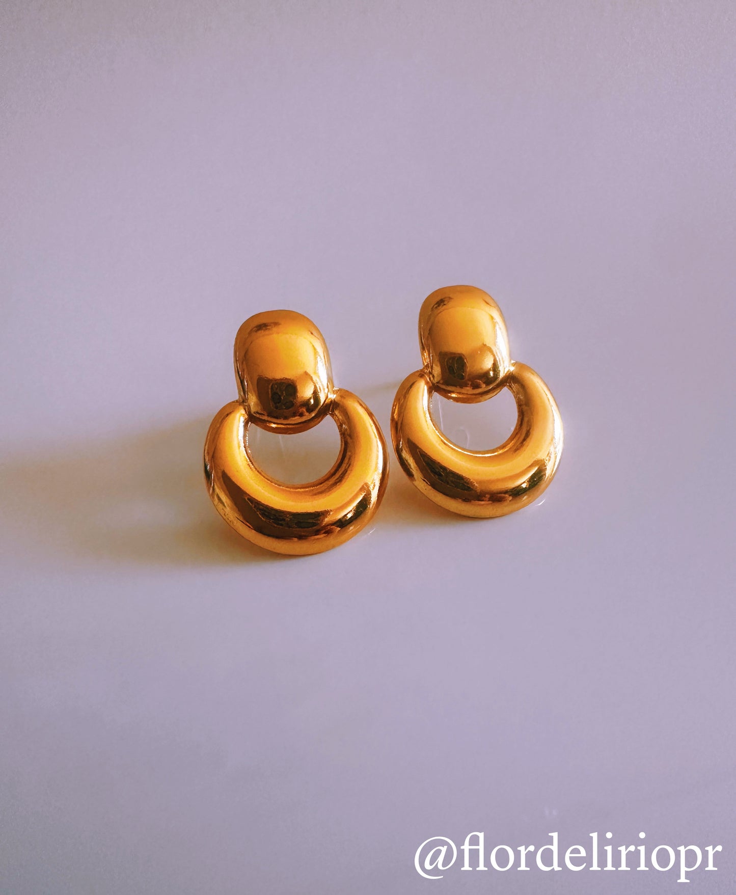 Elegant circle earrings