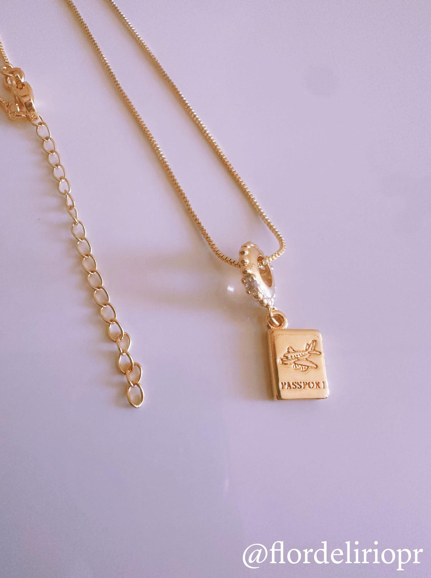 Passport necklace