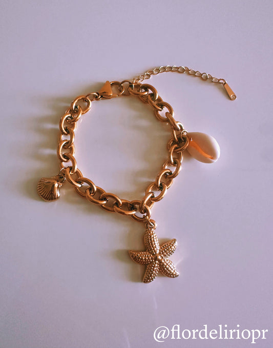 Beach shells linked bracelet