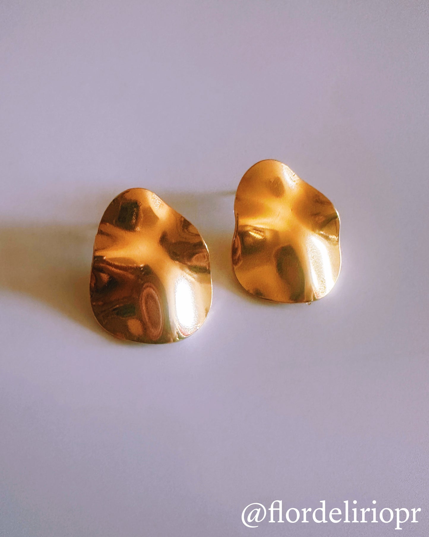 Irregular circle earrings