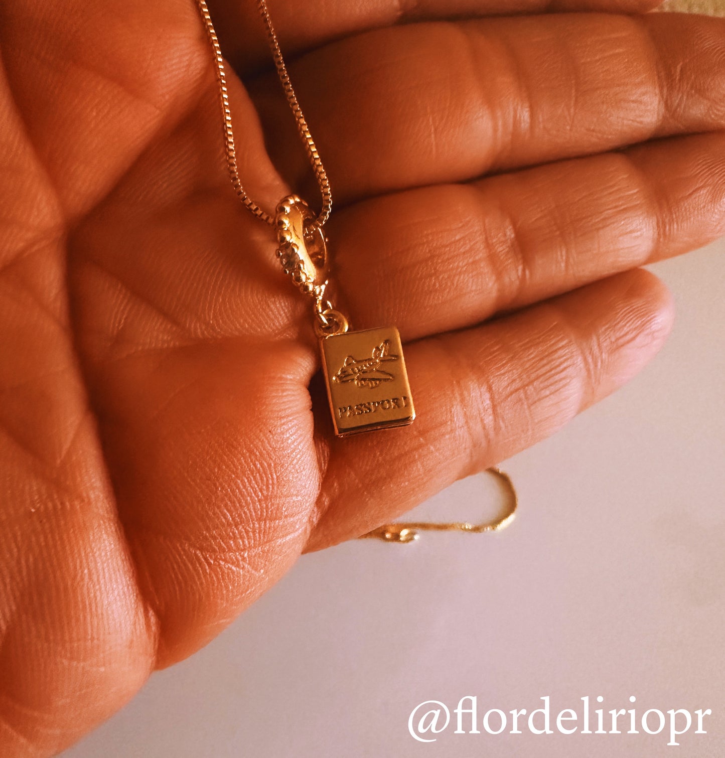 Passport necklace