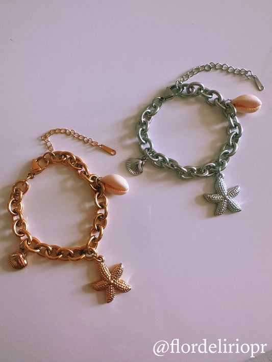 Beach shells linked bracelet