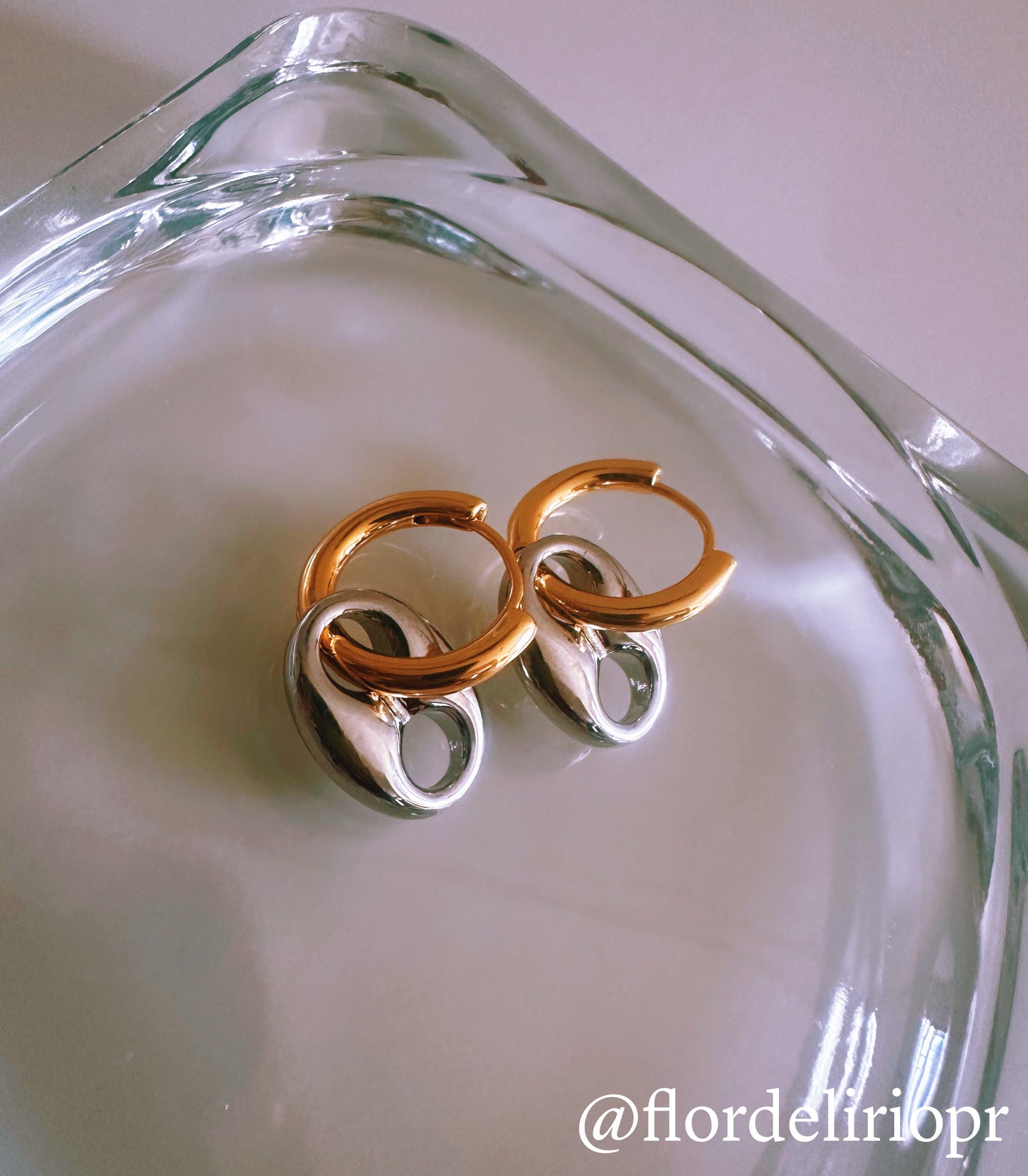 Two tones coffee bean earrings