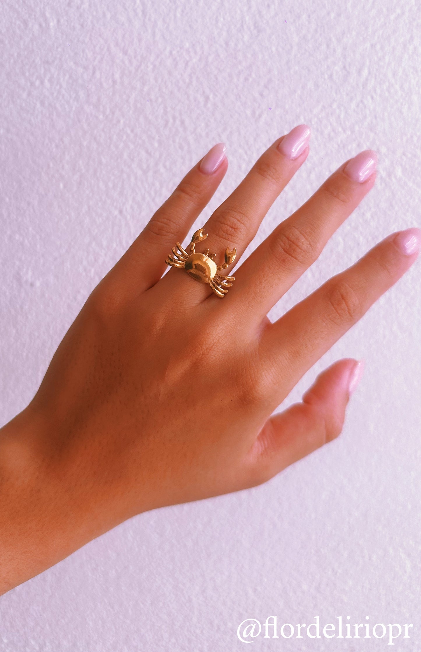 Cangrejo ring
